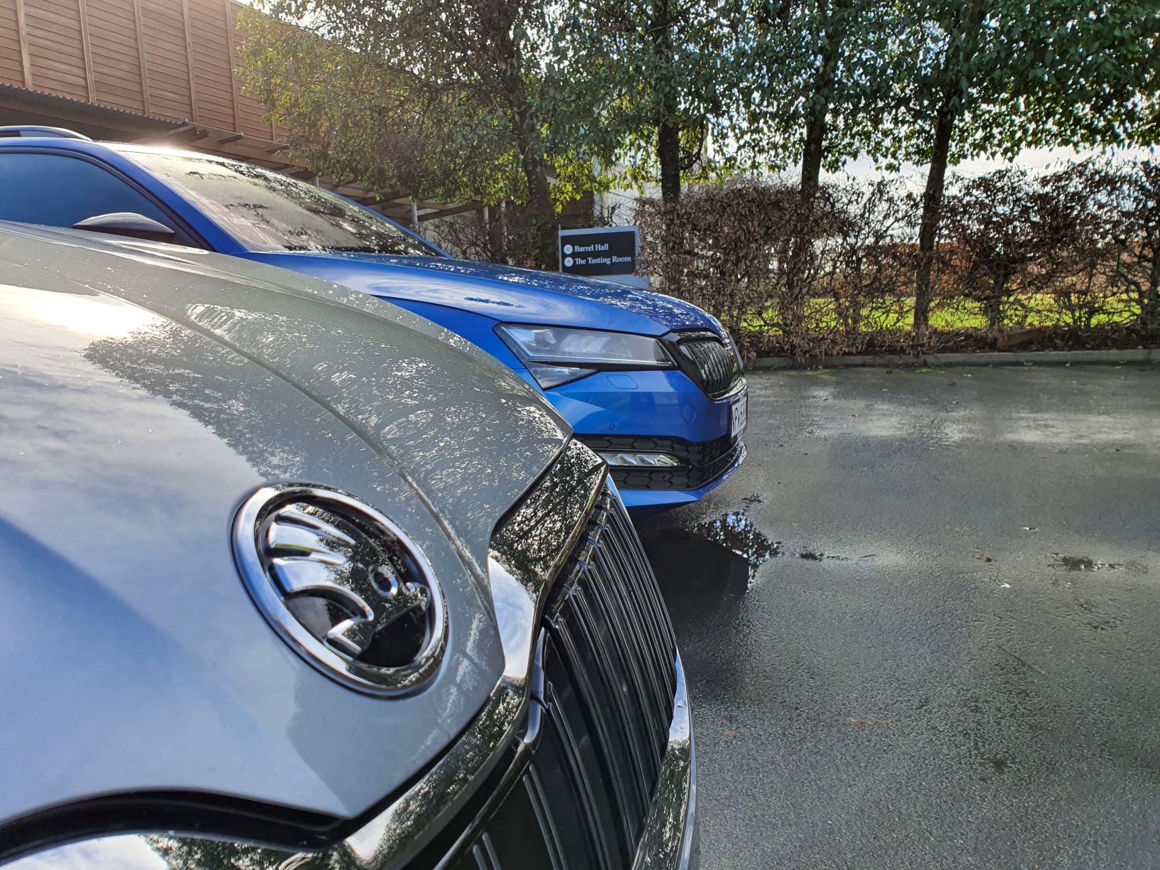 Skoda badge on a new Superb iV