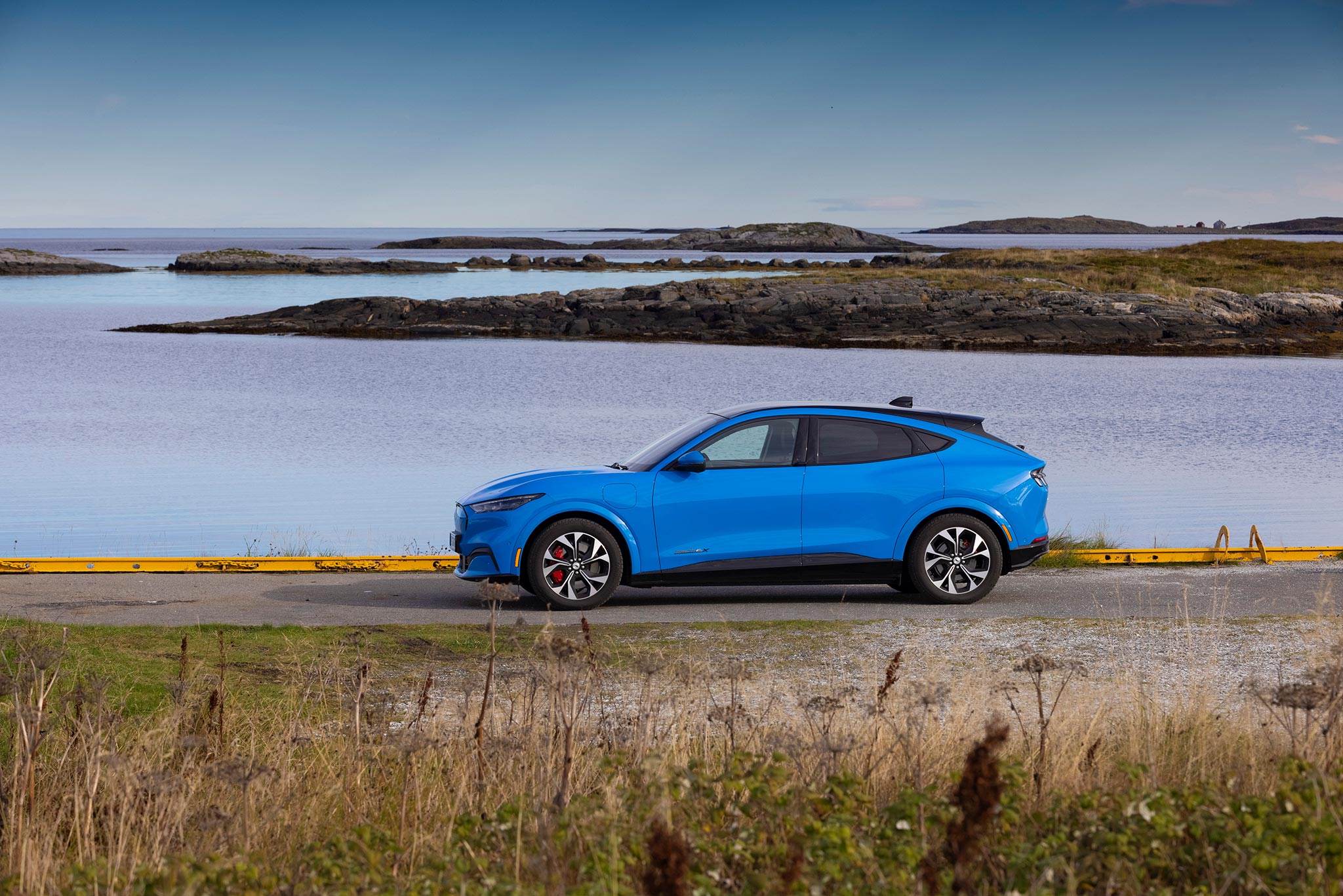 Side view from afar of the Ford Mustang Mach E