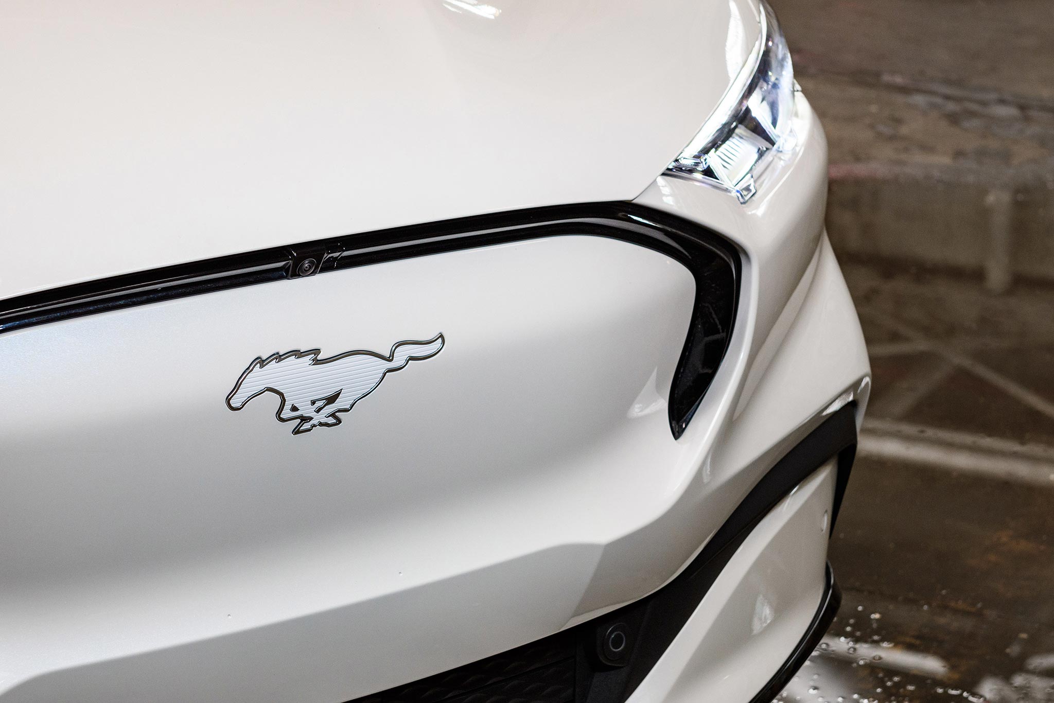 Galloping Mustang badge on the front of the Ford Mustang Mach E in white