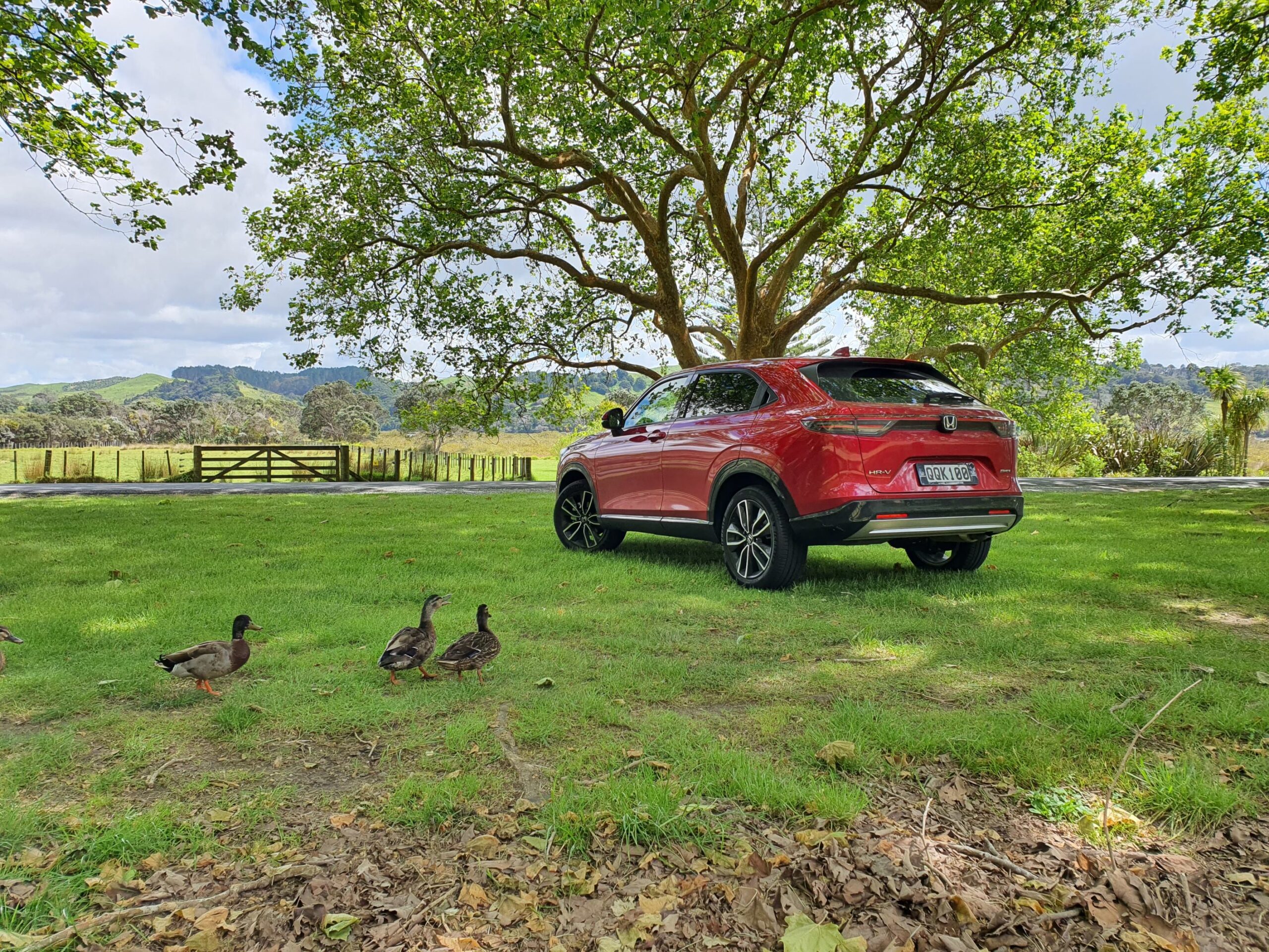 Rear three quarters view of a 2024 Honda HR-V in Metallic Red at Shakespear Park, Auckland with a trio of ducks in the foreground.