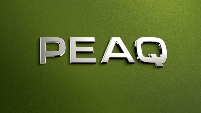 A photo of the 'Peaq' badge on the rear of a Skoda Peaq.